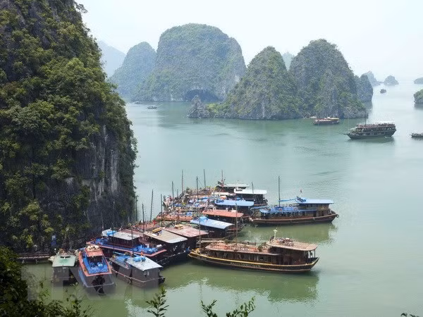 Premier de Vietnam: Preservar patrimonios es responsabilidad de toda la comunidad ảnh 1 Premier de Vietnam: Preservar patrimonios es responsabilidad de toda la comunidad ảnh 1