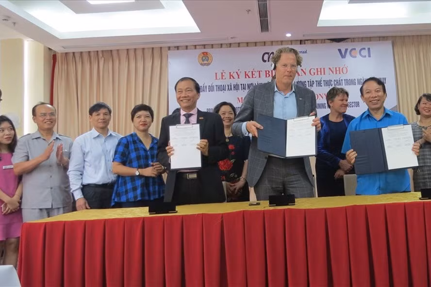 Acuerdo sobre diálogo con trabajadores textiles entre Vietnam y Países Bajos ảnh 1
