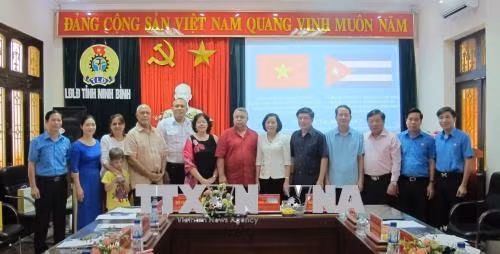 Dirigente de organización sindical de Cuba visita provincia vietnamita ảnh 1