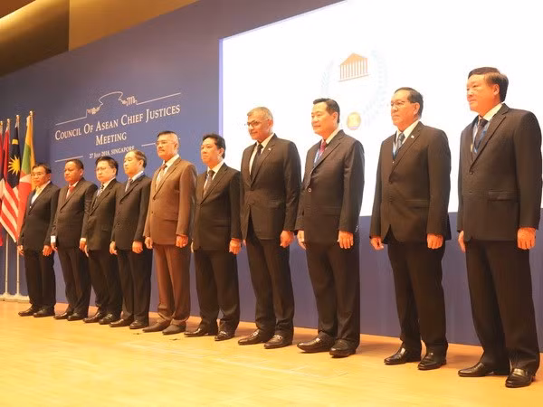Países de ASEAN promueven cooperación judicial ảnh 1