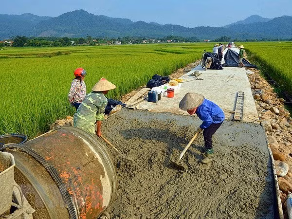Vietnam impulsa desarrollo de nuevas zonas rurales ảnh 1 Vietnam impulsa desarrollo de nuevas zonas rurales ảnh 1