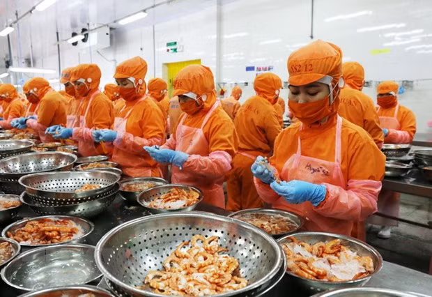 Exportaciones de camarones de Vietnam a Canadá crecen en primeros 10 meses de 2020 ảnh 1