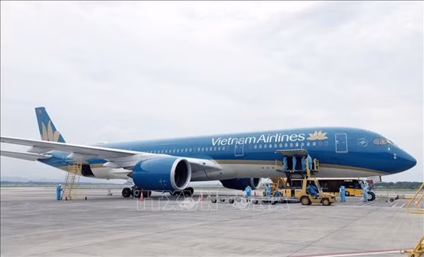 Repatrían a 450 ciudadanos vietnamitas desde Japón ảnh 1 Repatrían a 450 ciudadanos vietnamitas desde Japón ảnh 1