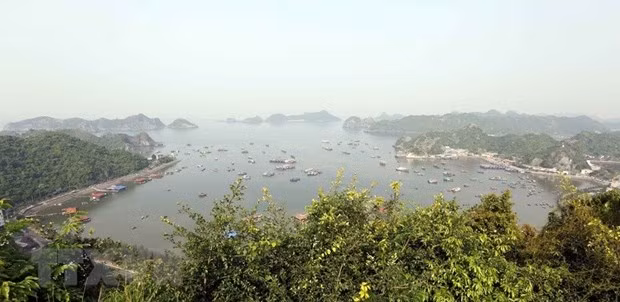 Destacan contribución de Vietnam a la conservación de las reservas de la biosfera ảnh 1