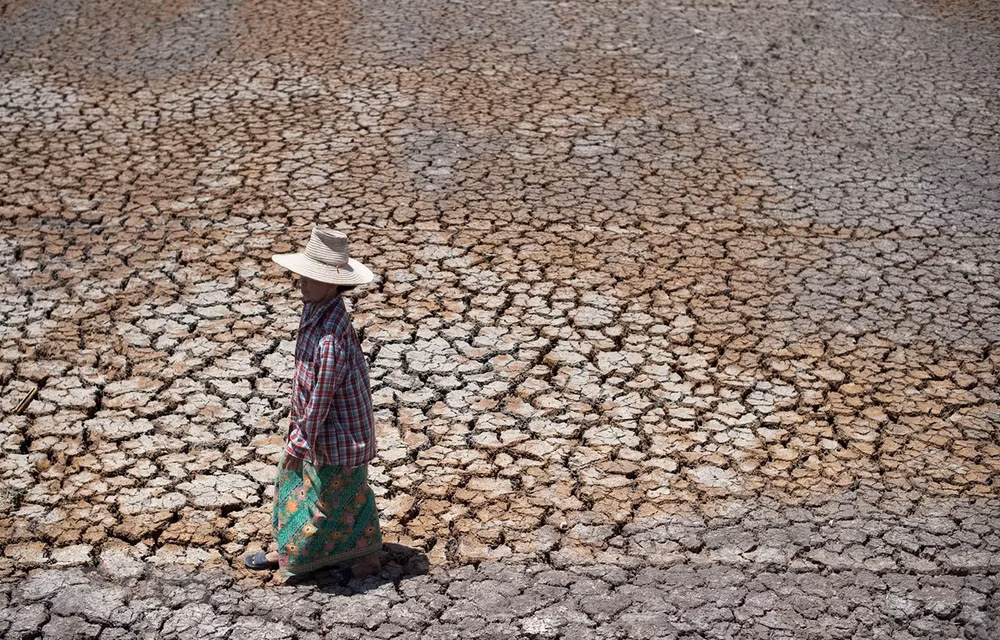 ASEAN y UNESCAP por fomentar la resiliencia ante la sequía en el Sudeste Asiático ảnh 1