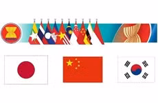 Promueven ASEAN+3 la cooperación interbancaria ảnh 1