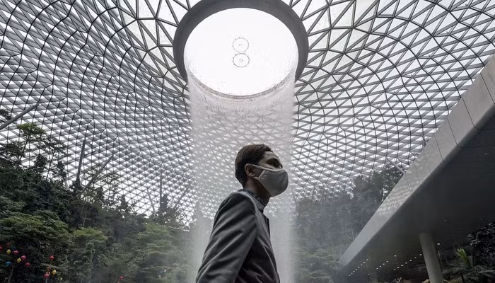 Singapur y Hong Kong (China) reanudan viajes aéreos ảnh 1