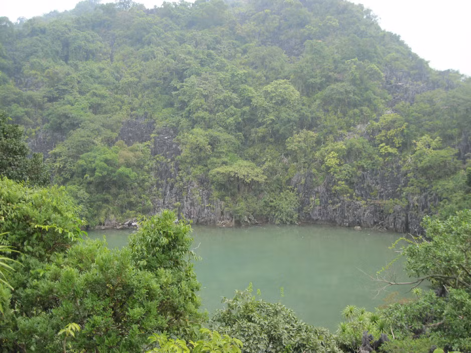 Descubra el Parque Nacional Bai Tu Long en Vietnam ảnh 1