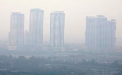 Establecer el precio del carbono eleva imagen de Vietnam a nivel internacional, evalúa sitio web australiano ảnh 1 Establecer el precio del carbono eleva imagen de Vietnam a nivel internacional, evalúa sitio web australiano ảnh 1