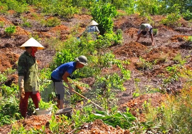 Promueven en Vietnam participación comunitaria en evaluación de impactos ambientales ảnh 1 Promueven en Vietnam participación comunitaria en evaluación de impactos ambientales ảnh 1