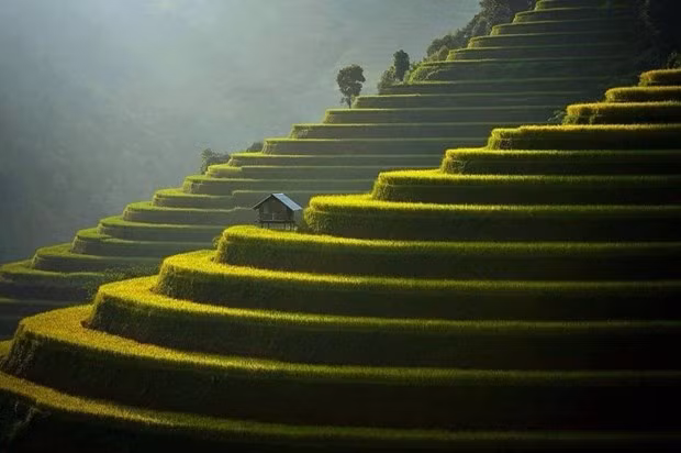 Mu Cang Chai elegido en el top 50 destinos más bellos del mundo en 2020 ảnh 1