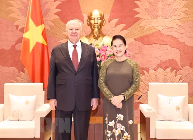 Corroboran vínculos entre Vietnam y Rusia ảnh 1