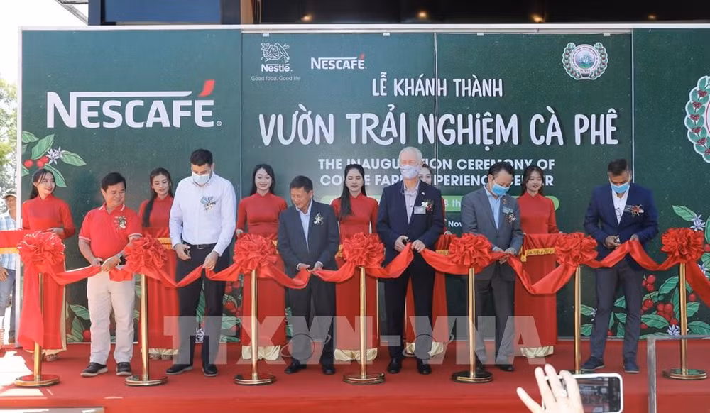 Jardín despierta amor por café vietnamita ảnh 1