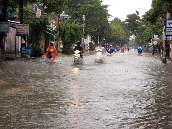 Duodécimo tifón avanza hacia la costa de Vietnam ảnh 1 Duodécimo tifón avanza hacia la costa de Vietnam ảnh 1