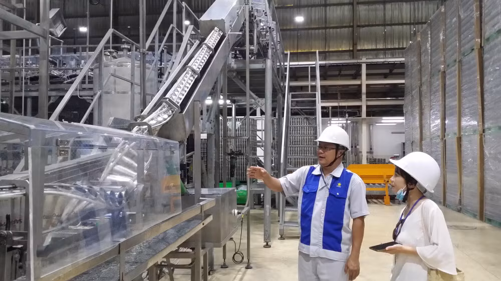 Aumenta inversión vietnamita en el extranjero ảnh 1