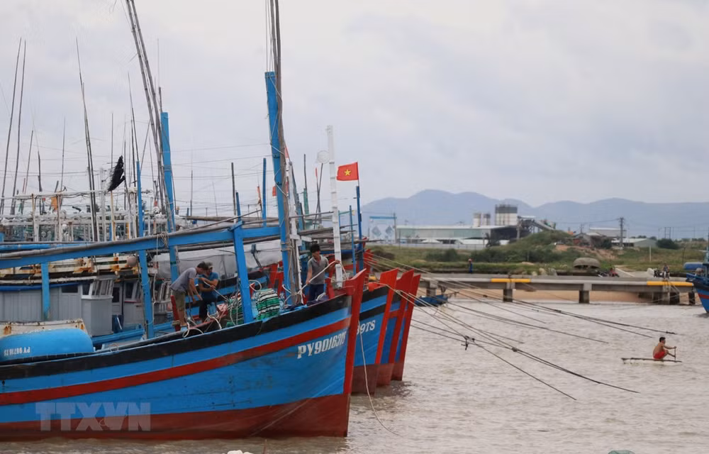 Tormenta Vamco se aproxima a la costa vietnamita ảnh 1