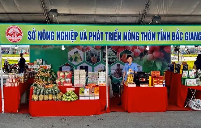 Provincia vietnamita de Bac Giang refuerza promoción de marcas y productos agrícolas ảnh 2