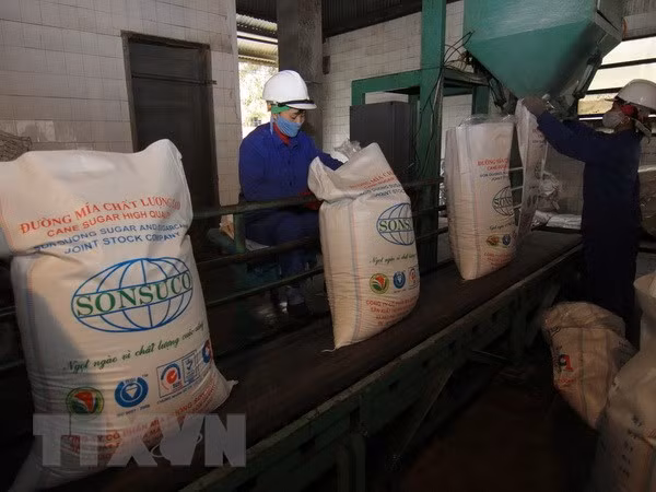 Industria azucarera de Vietnam avanza hacia la sostenibilidad ảnh 1