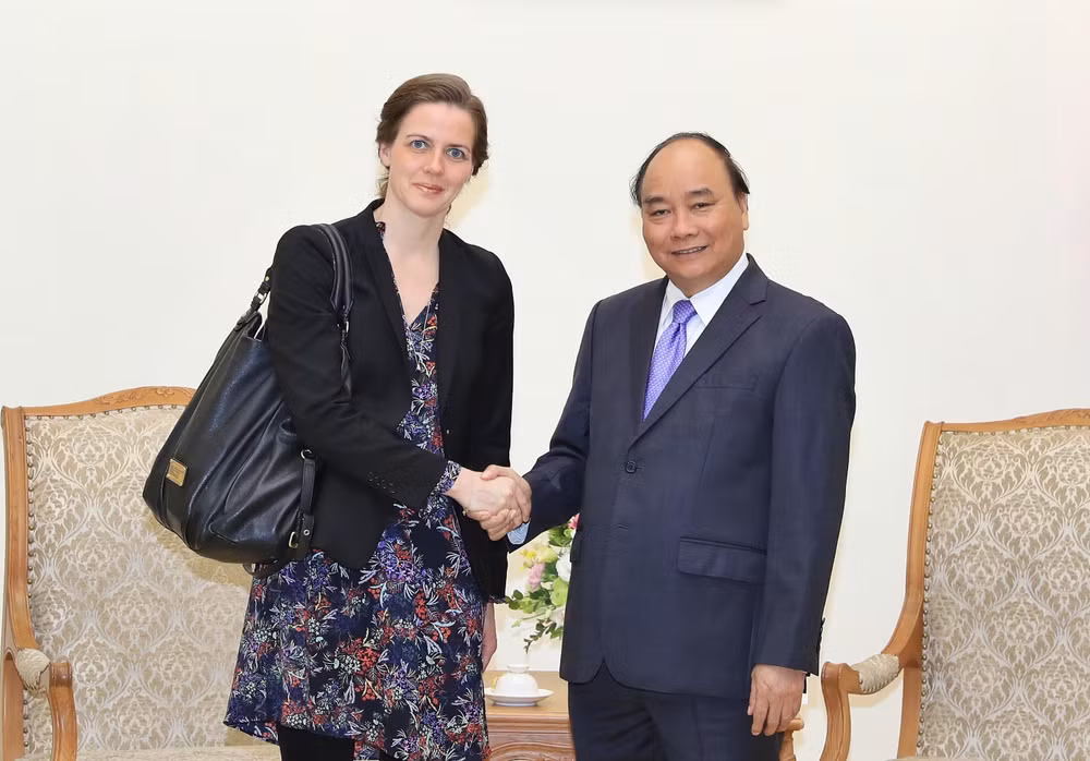Vietnam dispuesto a continuar cooperación con Dinamarca en salud ảnh 1