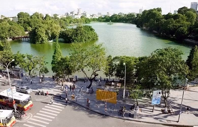 Hanoi aspira a sembrar un millón de árboles para 2020 ảnh 1