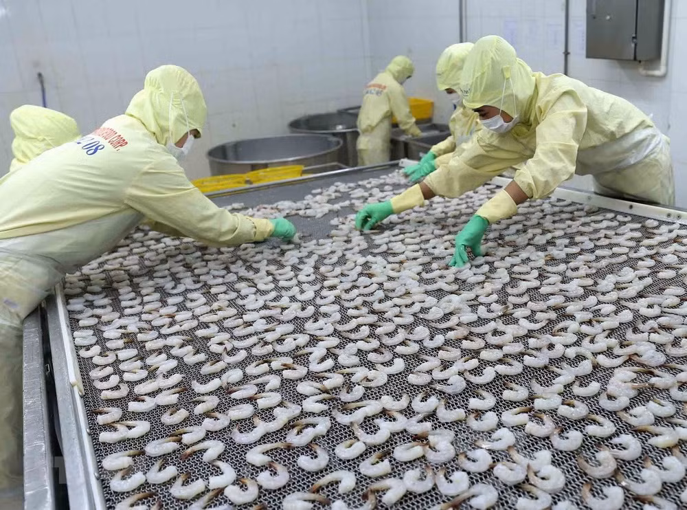 Vietnam por mantener desarrollo estable de acuicultura ảnh 1
