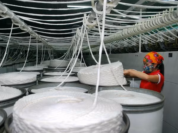 Vietnam e India buscan impulsar cooperación en sector de confecciones textiles ảnh 1
