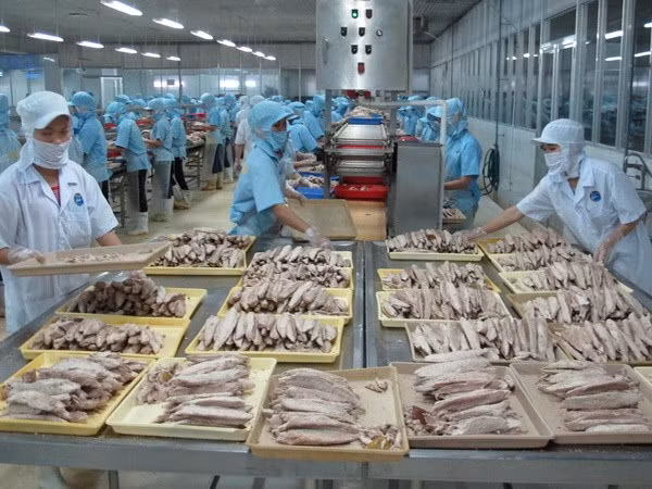 Provincia vietnamita de Kien Giang aumenta exportaciones en primer trimestre ảnh 1