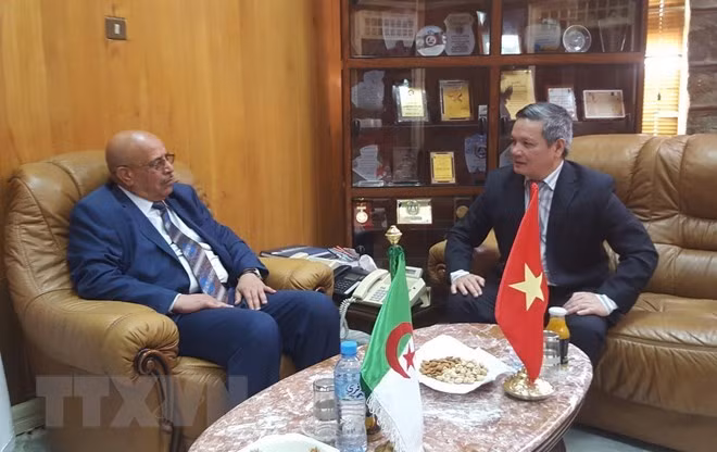 Intensifican cooperación multisectorial entre Vietnam y localidad argelina ảnh 1