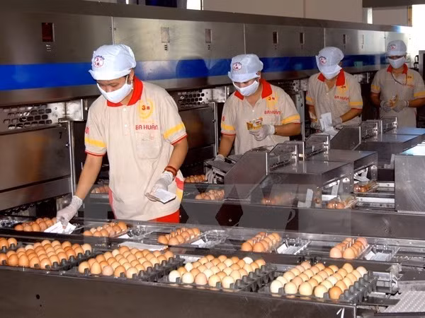 Vietnam no aplica cuotas a importaciones de sal y huevos de ASEAN ảnh 1