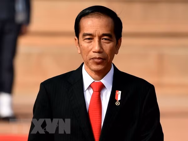 Gobierno de Indonesia revisa proyectos estratégicos nacionales ảnh 1 Gobierno de Indonesia revisa proyectos estratégicos nacionales ảnh 1