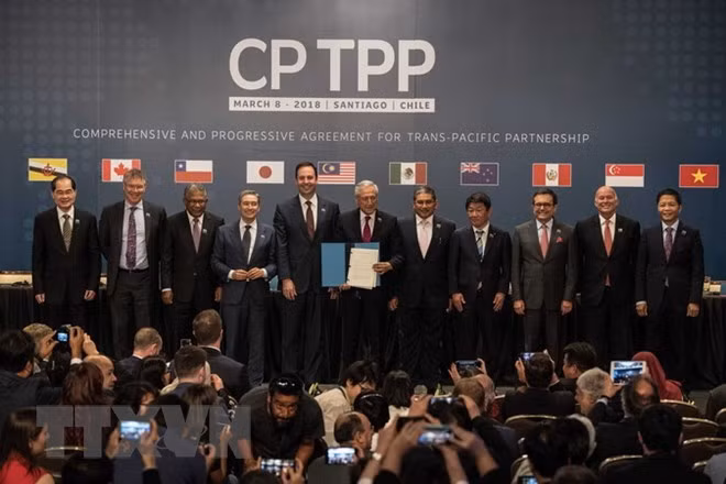Japón listo para acoger reunión de jefes negociadores del CPTPP ảnh 1