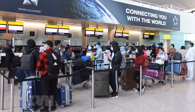 Repatrian a 340 ciudadanos vietnamitas en Reino Unido ảnh 1