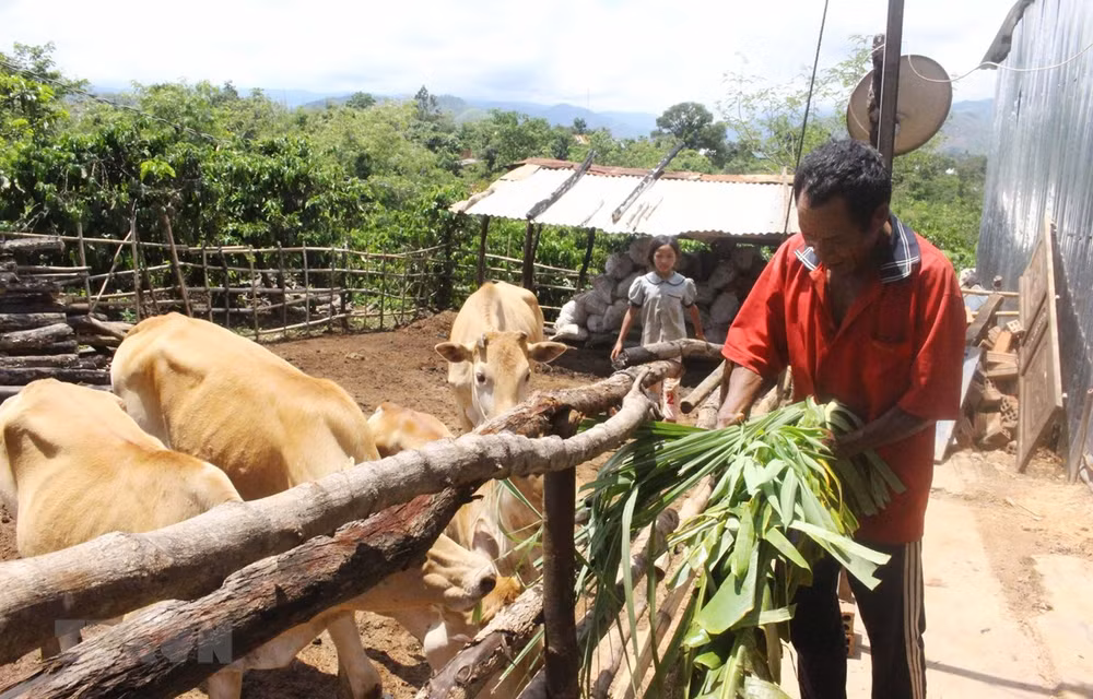 Parlamento de Vietnam intensifica atención a minorías étnicas ảnh 1