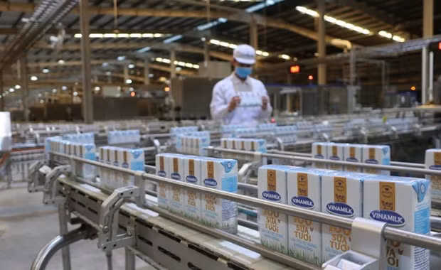 Aumentan ingresos de Vinamilk en el segundo trimestre ảnh 1