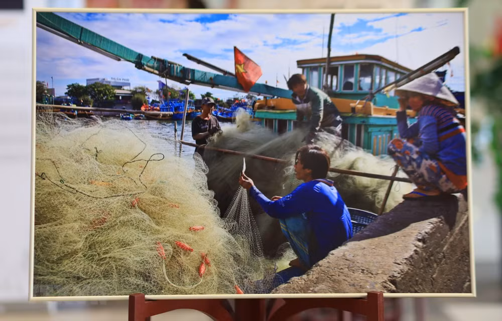 Exposición sobre mares e islas vietnamitas capta atención de visitantes rusos ảnh 1 Exposición sobre mares e islas vietnamitas capta atención de visitantes rusos ảnh 1