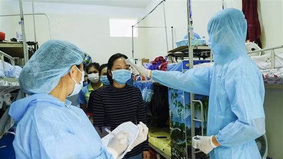 COVID-19 en Vietnam: 81 días consecutivos sin nuevos casos de transmisión local ảnh 1