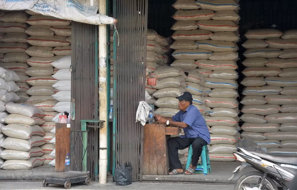 Reserva de arroz de Indonesia superará 22 millones de toneladas en 2020 ảnh 1