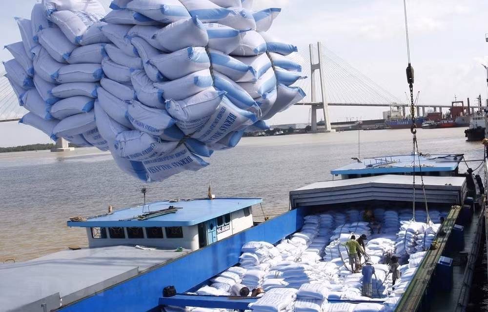 Unión Europea anuncia cuotas de importación para productos agropecuarios de Vietnam ảnh 1