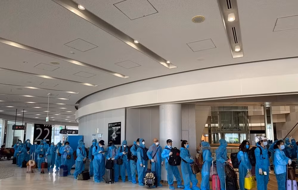 Regresan a casa más de 190 ciudadanos vietnamitas varados en Japón por COVID- 19 ảnh 1