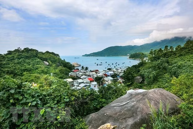 Busca Vietnam ideas creativas para un océano sin desechos plásticos ảnh 1 Busca Vietnam ideas creativas para un océano sin desechos plásticos ảnh 1