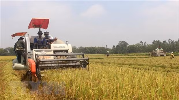 Banco Mundial apoya actividades de agricultores en Filipinas ảnh 1