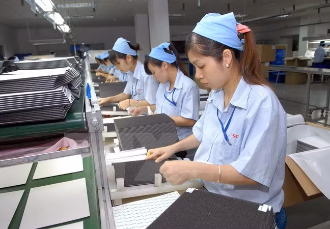 Vietnam prioriza desarrollo de sector privado en economía nacional ảnh 1