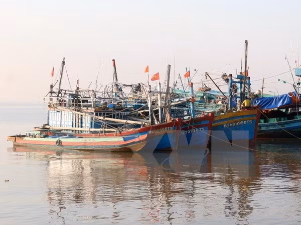 Vietnam se prepara para enfrentar tifón Tembin ảnh 1