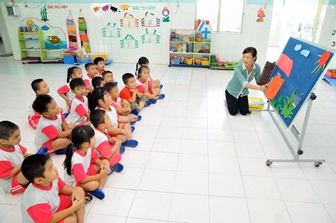Grupo japonés interesado en penetrar en esfera de educación preescolar de Vietnam ảnh 1