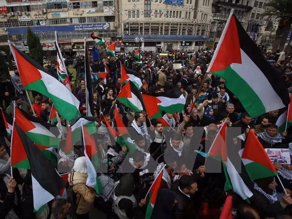 Palestina aboga por solución pacífica al conflicto con Israel ảnh 1