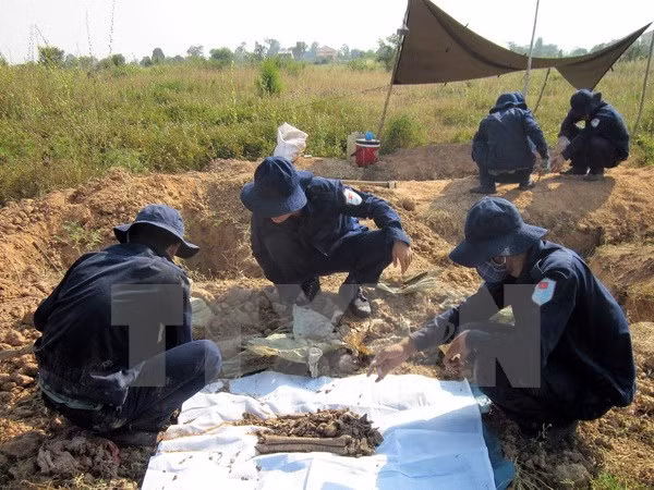 Vietnam impulsa búsqueda de restos de mártires ảnh 1