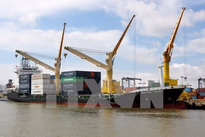 Grupos vietnamita y belga cooperan en construcción de muelles en puerto de Hai Phong ảnh 1