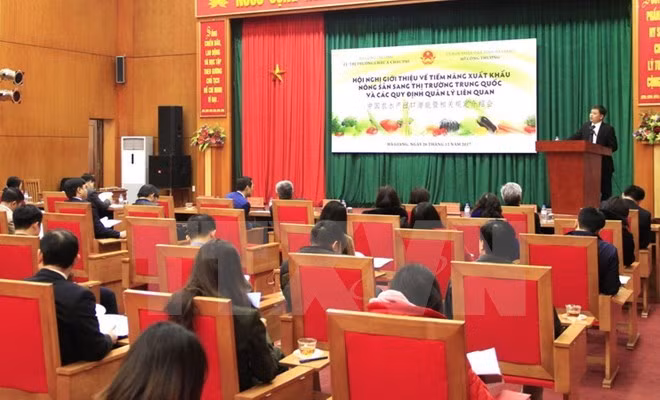Oportunidades para exportaciones agrícolas vietnamitas a China ảnh 1