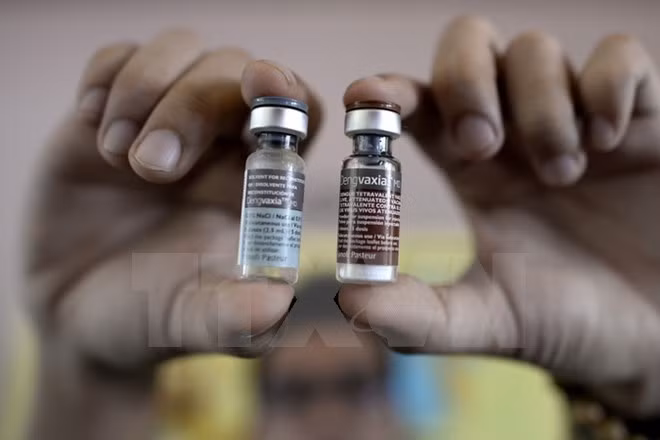Filipinas investiga casos de mortalidad relacionados con vacuna Dengvaxia ảnh 1