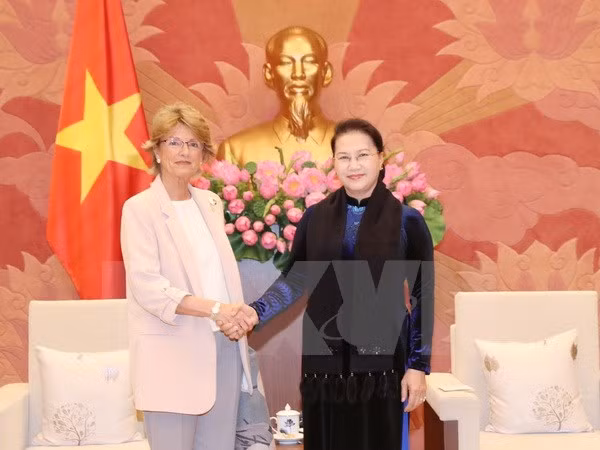 Vietnam otorga importancia a las relaciones con España ảnh 1